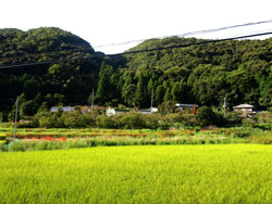 kiminoka view kimino-town